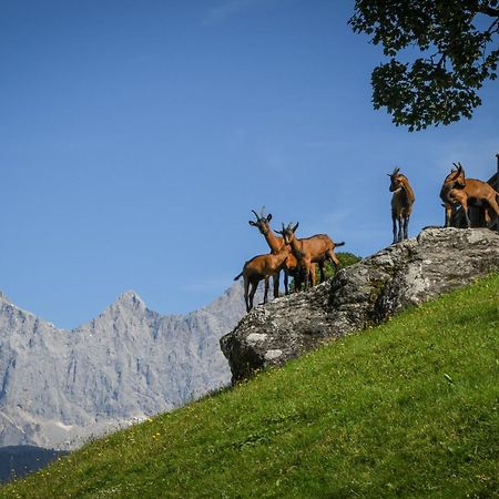 Villa Strickhof Schladming Esterno foto
