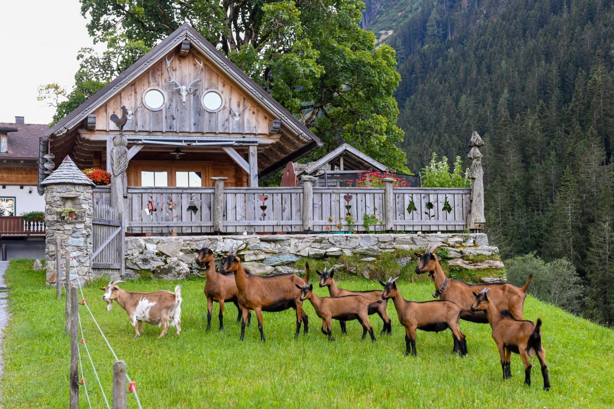 Villa Strickhof Schladming Esterno foto