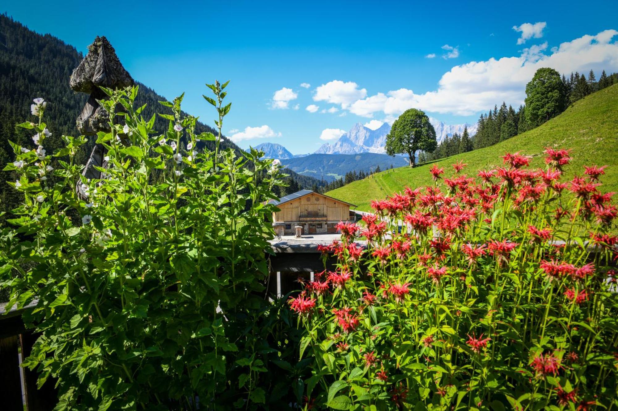 Villa Strickhof Schladming Esterno foto