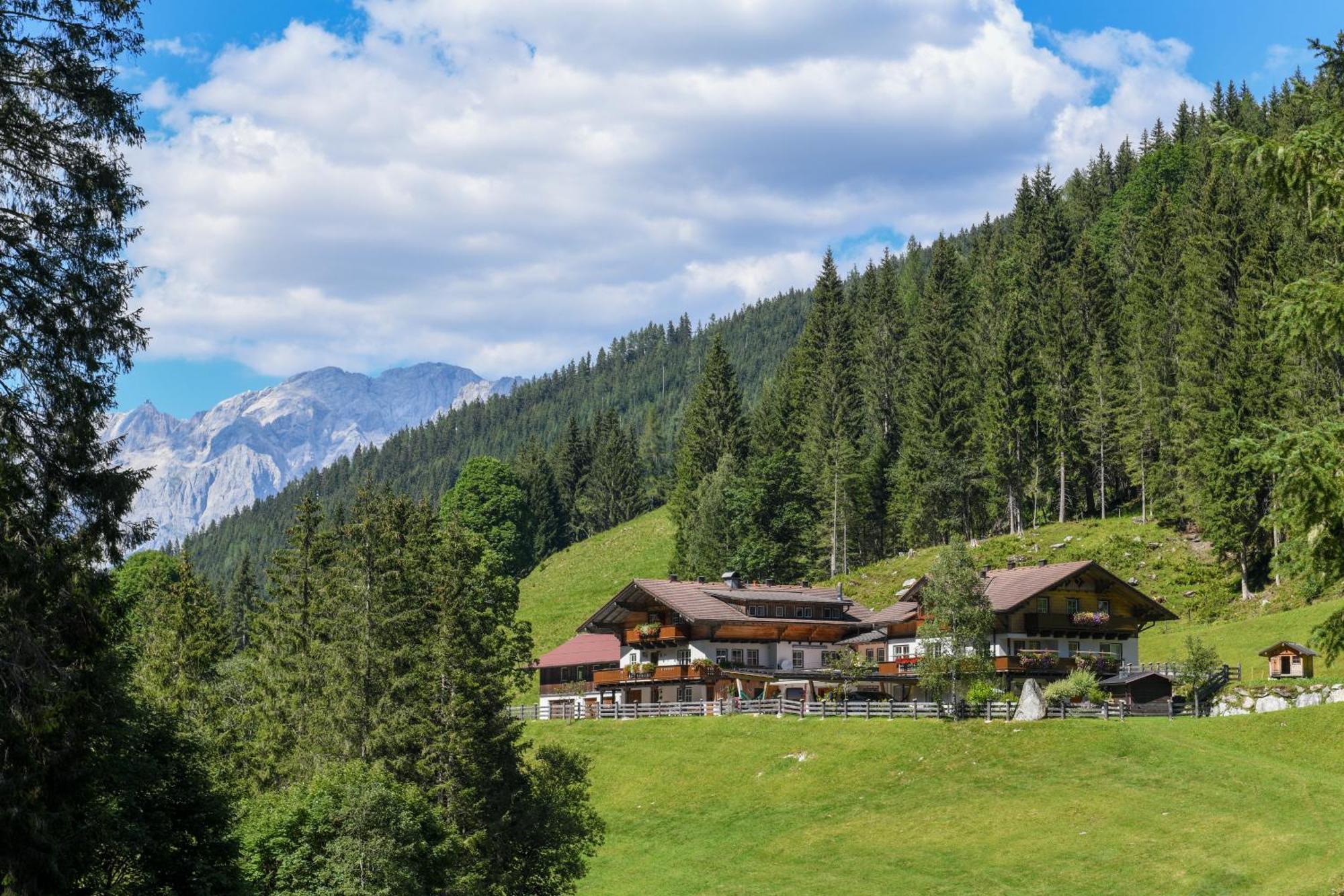 Villa Strickhof Schladming Esterno foto